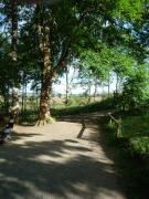 Harz-270-Polsterberger-Hs-Biergarten-25062022