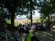 Harz-271-BioV-SommerF-PolsterbergerHs-25062022