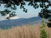 Harz-273-PolsterbergerHS-Bl-Brocken-25062022