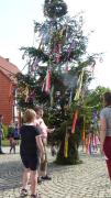 K640BG-752-JohannisF-m-Baum-25062022-1---Kopie