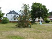 K640BG-717-Taubenb-JohannisB-24062022
